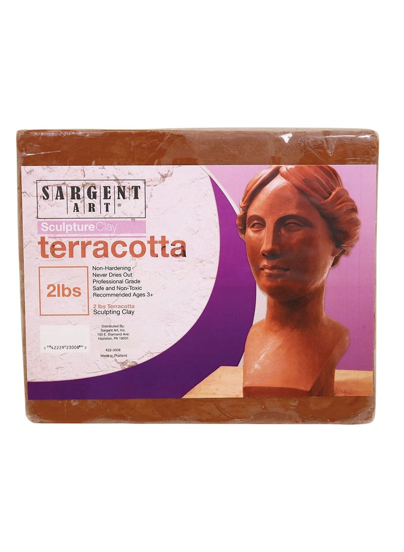 SARGENT ART Terracotta Sculpture Modeling Clay 2 Lb